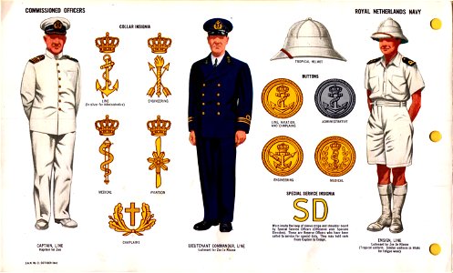 ONI JAN 1 Uniforms and Insignia Page 098 Royal Netherlands Navy WW2 Commissioned officers Oct 1943 Field recognition. US public doc. No known copyright. Free illustration for personal and commercial use.