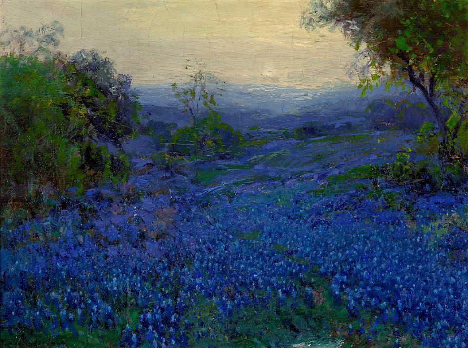 Julian Onderdonk - Bluebonnets in Spring
