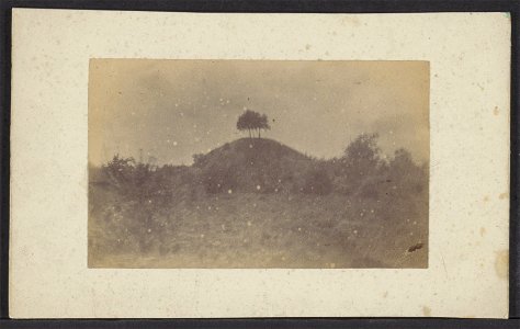 Ongelokaliseerd, heuvel met bomen, Afb ANWZ00539000001