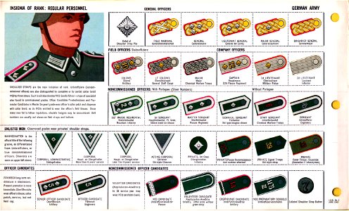 ONI JAN 1 Uniforms and Insignia Page 014 German Army Wehrmacht WW2 ...