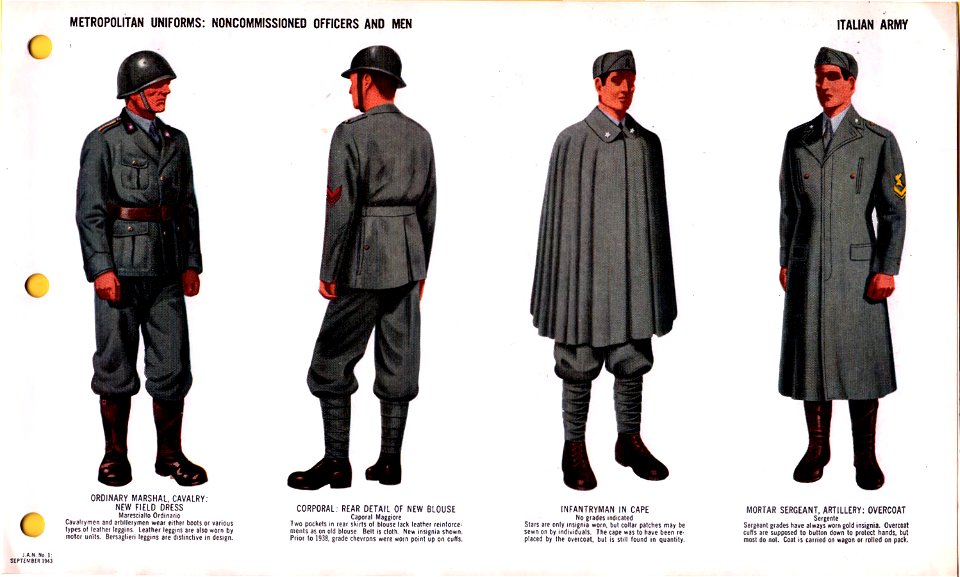 ONI JAN 1 Uniforms And Insignia Page 066 Italian Army WW2 Metropolitan ...