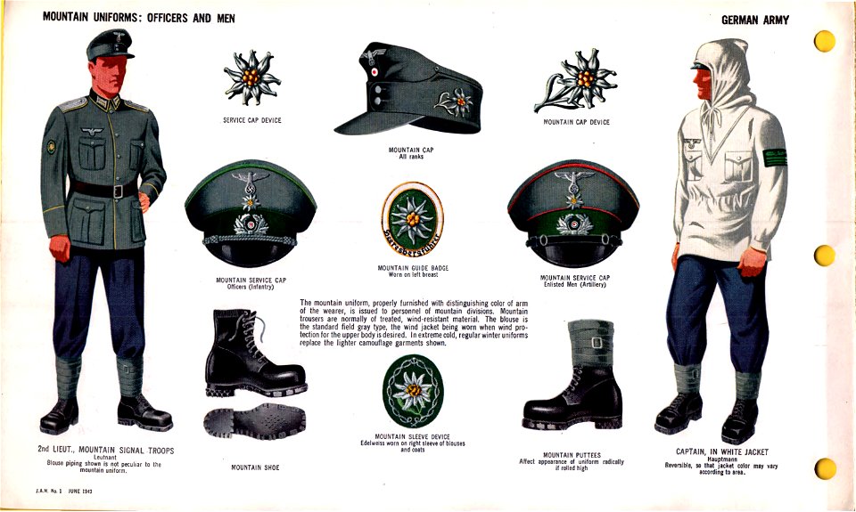 ONI JAN 1 Uniforms And Insignia Page 008 German Army WW2 Mountain ...