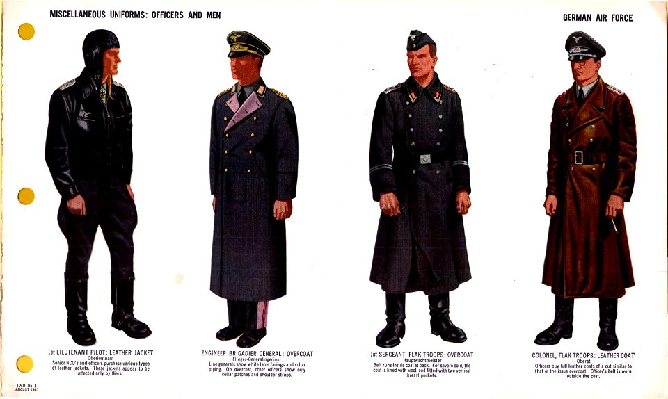 ONI JAN 1 Uniforms And Insignia Page 033 German Air Force Luftwaffe WW2 ...