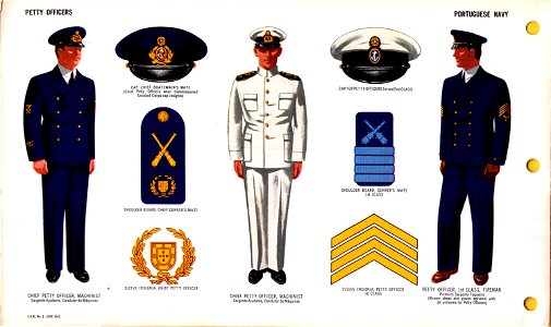 ONI JAN 1 Uniforms and Insignia Page 109 Portuguese Navy WW2 Petty officers June 1943 Field recognition. US public doc. No known copyright
