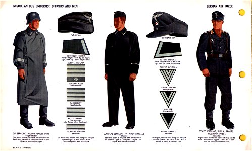 ONI JAN 1 Uniforms and Insignia Page 032 German Air Force Luftwaffe WW2 Miscellaneous uniforms. Motor vehicle coat, collar and sleeve insignia, fatigue and mountain cap, overalls, mountain dress, leggins. Aug 1943 Field recognition. No