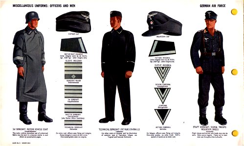 ONI JAN 1 Uniforms and Insignia Page 032 German Air Force Luftwaffe WW2 Miscellaneous uniforms. Motor vehicle coat, collar and sleeve insignia, fatigue and mountain cap, overalls, mountain dress, leggins. Aug 1943 Field recognition. No. Free illustration for personal and commercial use.