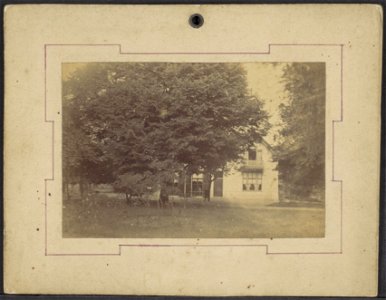 Ongelokaliseerd, landhuis, Afb ANWZ00533000001