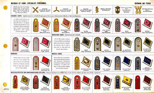 ONI JAN 1 Uniforms and Insignia Page 037 German Air Force Luftwaffe WW2 Insignia of rank Specialist personnel August 1943 Field recognition. US public doc. No known copyright. Free illustration for personal and commercial use.