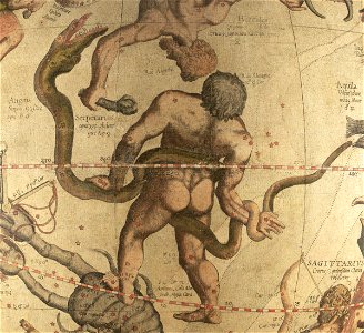 Ophiucus et Serpens - Mercator