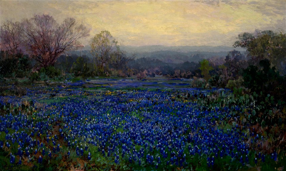 Julian Onderdonk - Untitled (Field of Bluebonnets) - 1990.153 - Dallas Museum of Art