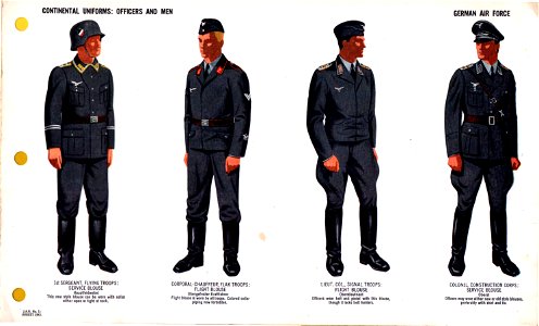 ONI JAN 1 Uniforms and Insignia Page 027 German Air Force Luftwaffe WW2 Continental uniforms Officers and men. Flying, Flak, and signal troops, and construction corps, etc. August 1943 Field recognition. US public doc. No copyright. Free illustration for personal and commercial use.