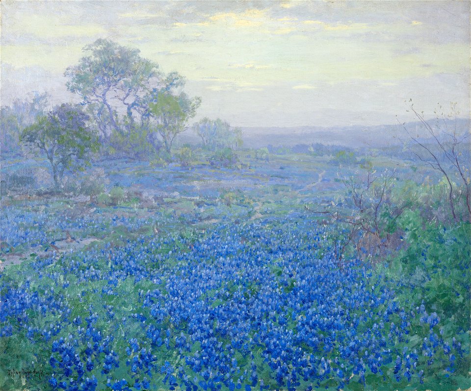 Julian Onderdonk - A Cloudy Day, Bluebonnets, 1918 (Amon Carter Museum)