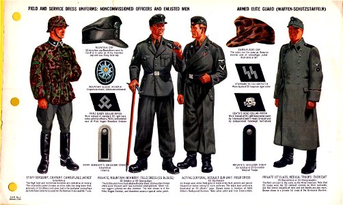 ONI JAN 1 Uniforms and Insignia Page 043 German Armed Elite Guard Waffen-SS WW2 Field, service dress uniforms. NCOs, EM. Camouflage, mountain Gebirgsjäger, Panzer, overcoat, etc. Jan. 1944 Field recognition.No copyright