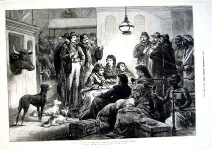 Operatic company on board the Peninsular and Oriental steamer Sumatra - ILN 1875