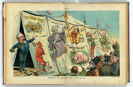 Opening of the Democratic dime museum for 1900 - J.S. Pughe. LCCN2012647335
