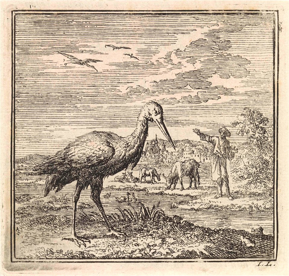 Ooievaar aan de waterkant
