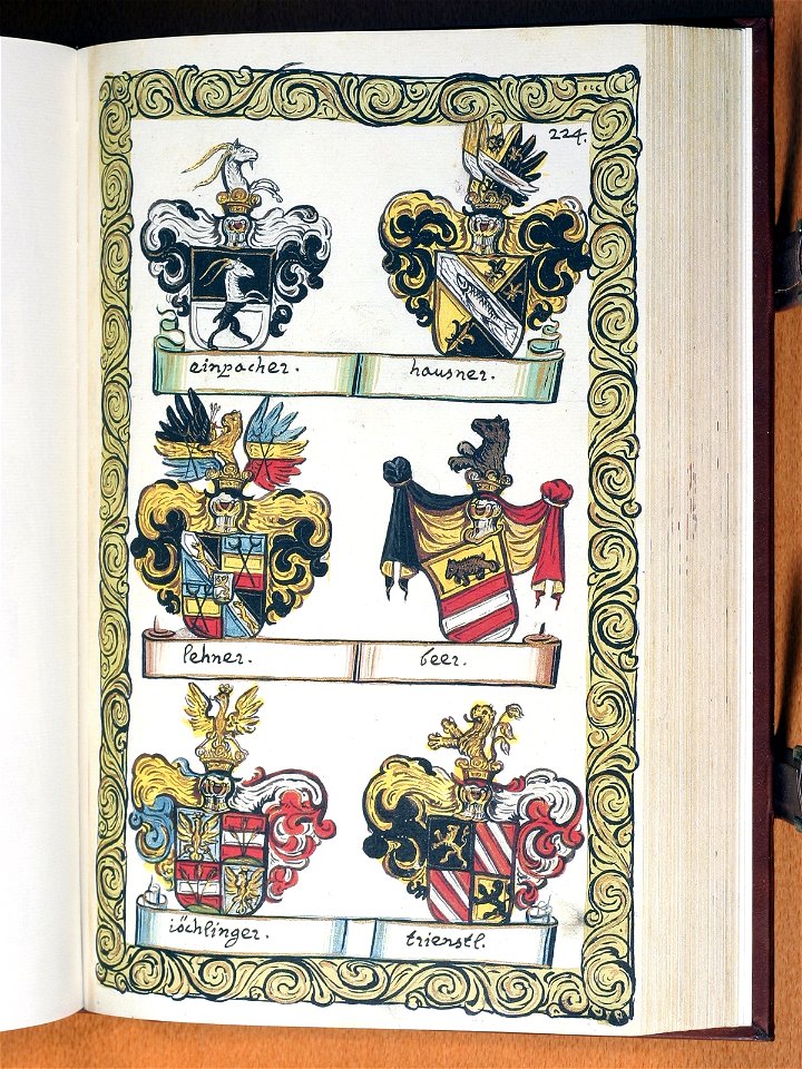 Opus insignium armorumque 225