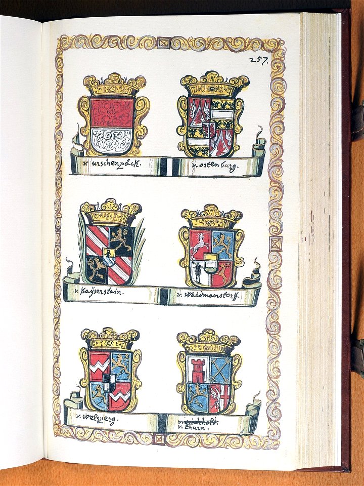 Opus insignium armorumque 257