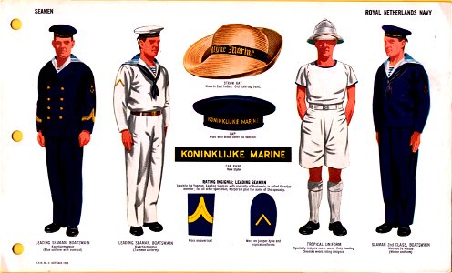 ONI JAN 1 Uniforms and Insignia Page 103 Royal Netherlands Navy WW2 Seamen October 1943 Field recognition. US public doc. No known copyright. Free illustration for personal and commercial use.