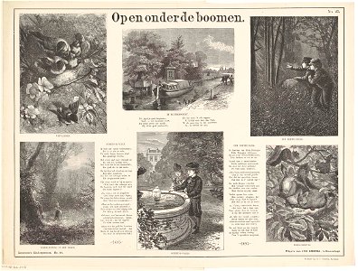 Open onder de boomen