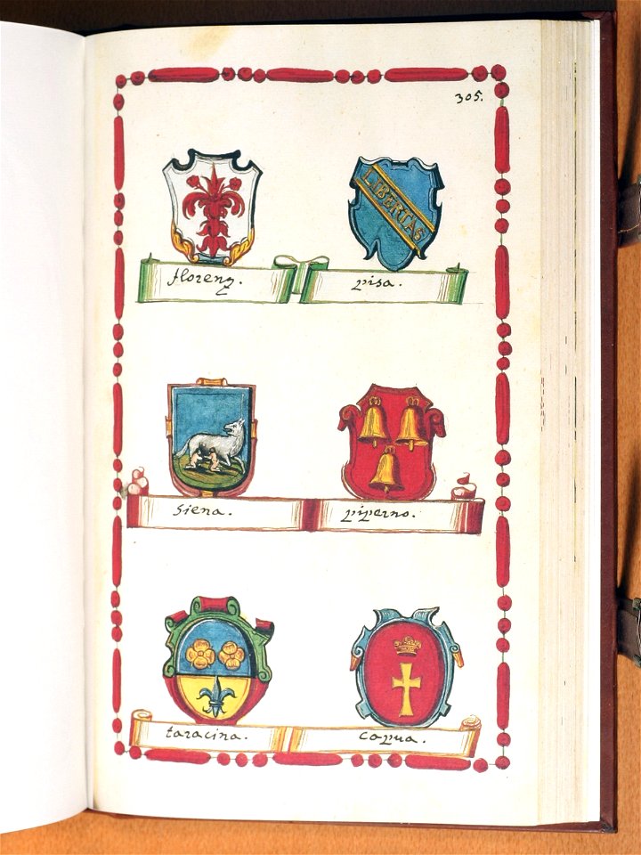 Opus insignium armorumque 305