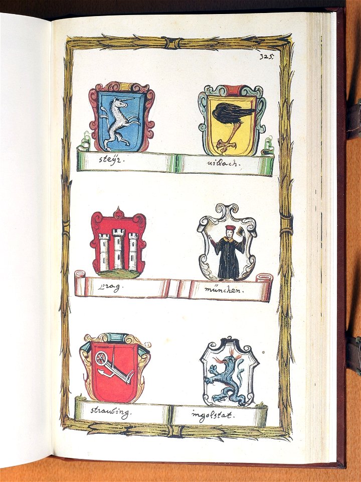 Opus insignium armorumque 325