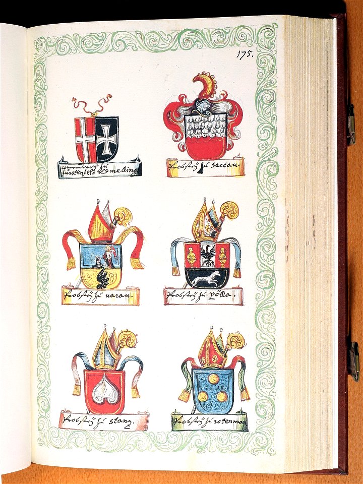 Opus insignium armorumque 176