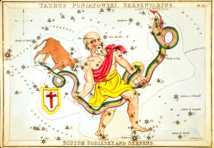 Ophiuchusurania