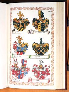 Opus insignium armorumque 247