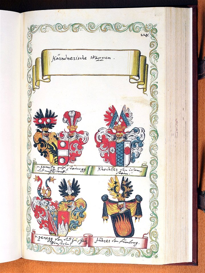 Opus insignium armorumque 229
