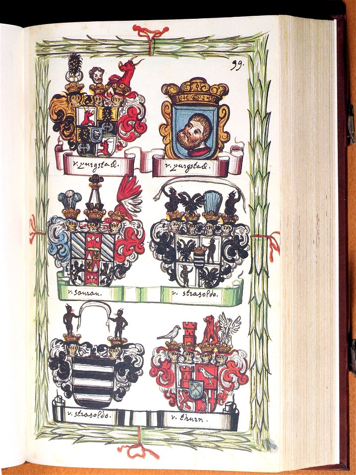 Opus insignium armorumque 100