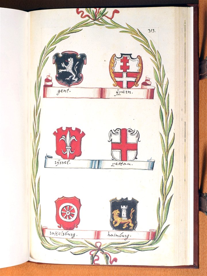 Opus insignium armorumque 313