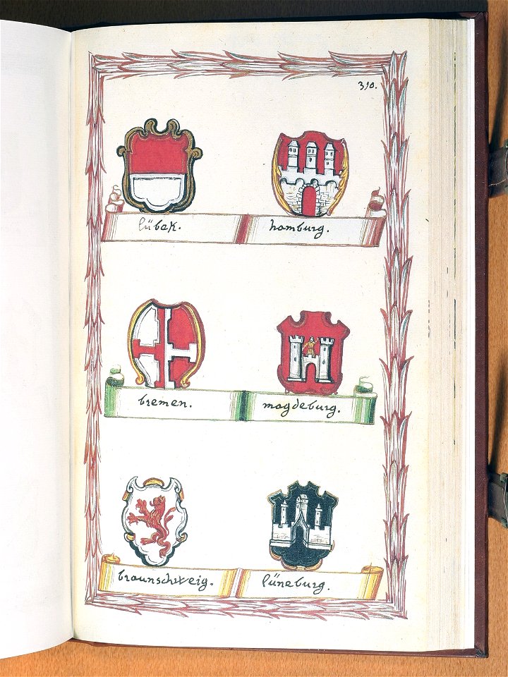 Opus insignium armorumque 310