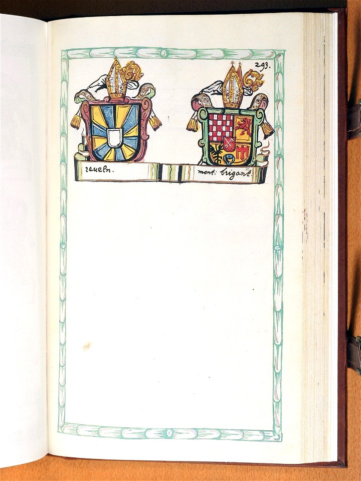 Opus insignium armorumque 293