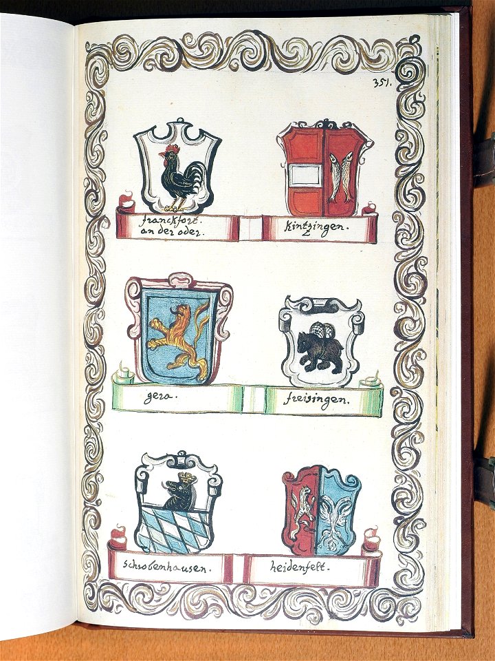Opus insignium armorumque 351