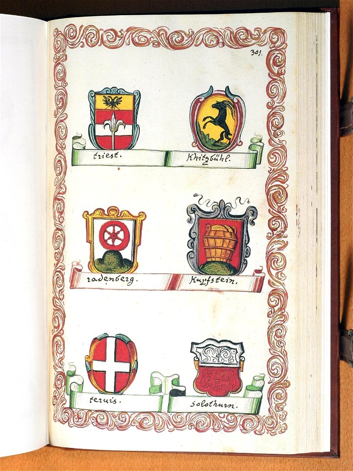 Opus insignium armorumque 301