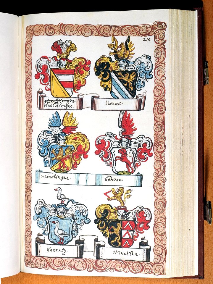 Opus insignium armorumque 211