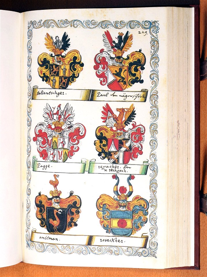 Opus insignium armorumque 230
