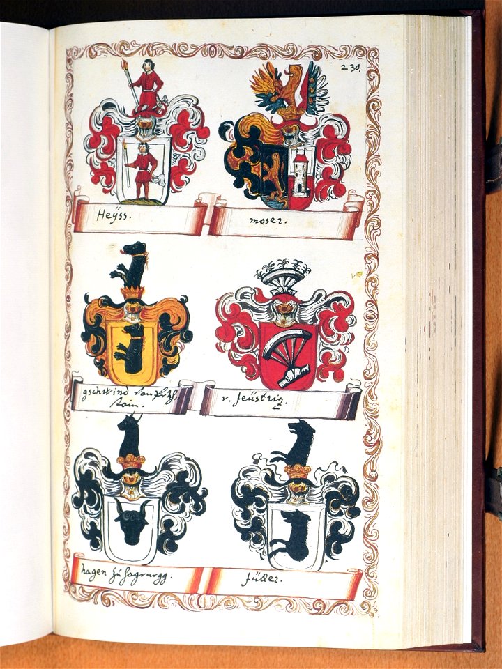 Opus insignium armorumque 231