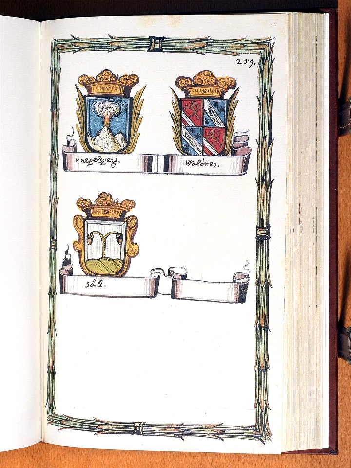 Opus insignium armorumque 259