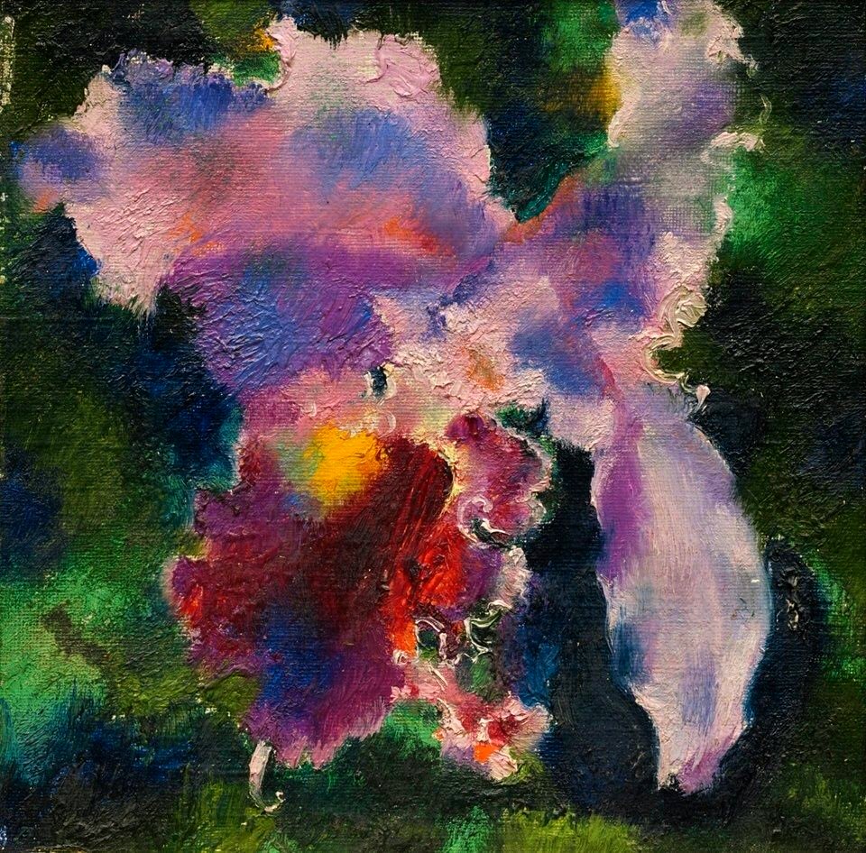 Orchid Augusto Giacometti