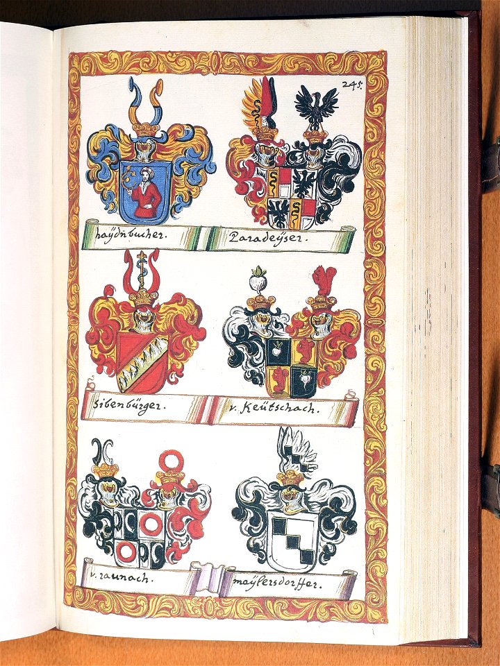 Opus insignium armorumque 246