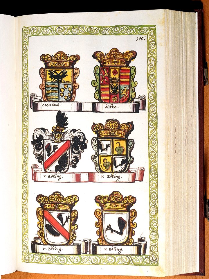 Opus insignium armorumque 107