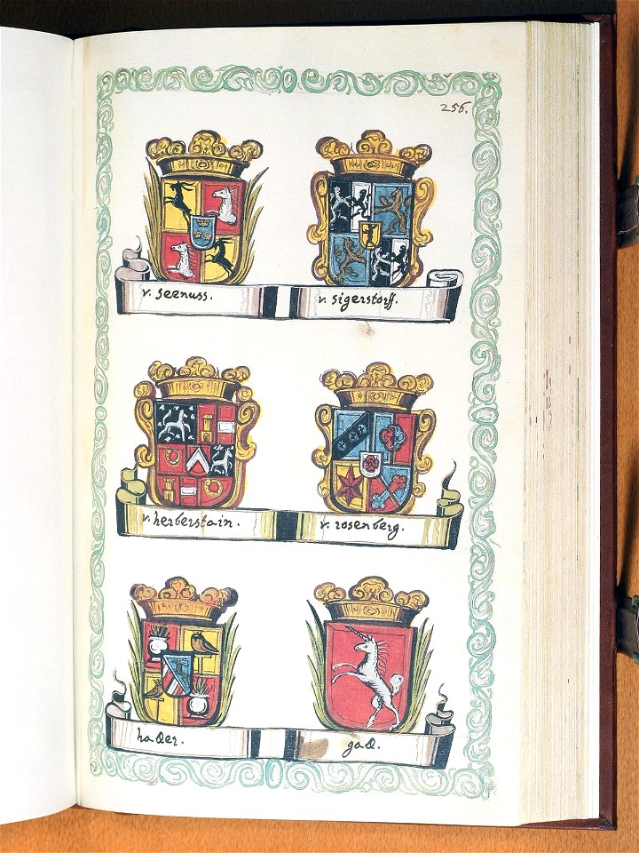 Opus insignium armorumque 256
