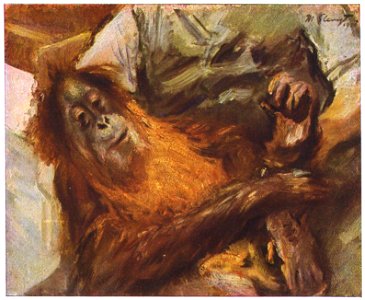 Orang Utan, by Max Slevogt. Free illustration for personal and commercial use.