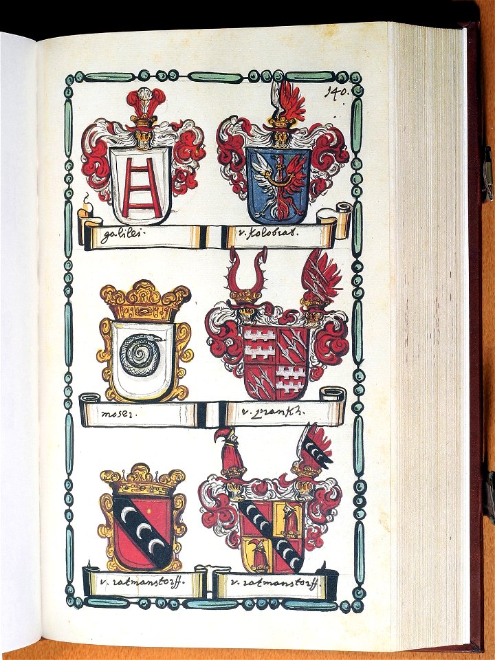 Opus insignium armorumque 141