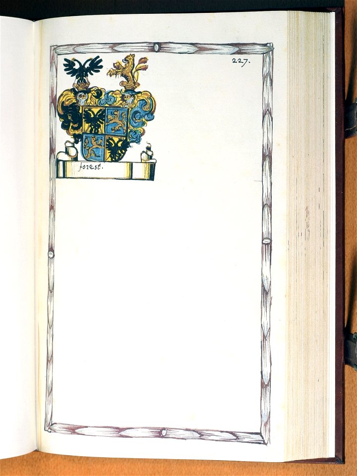 Opus insignium armorumque 228