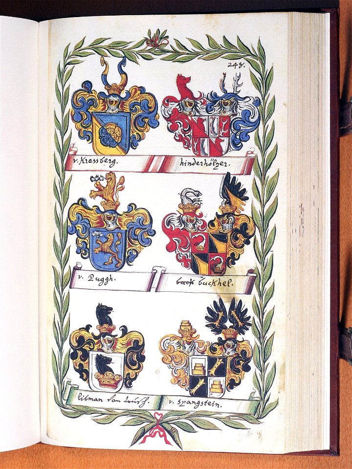 Opus insignium armorumque 248