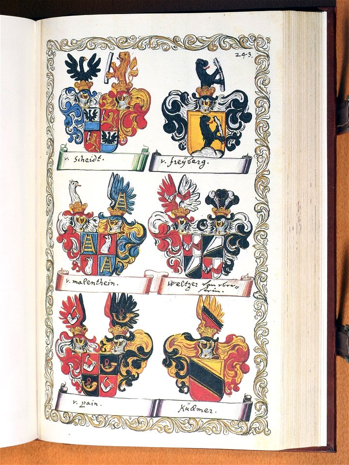 Opus insignium armorumque 244