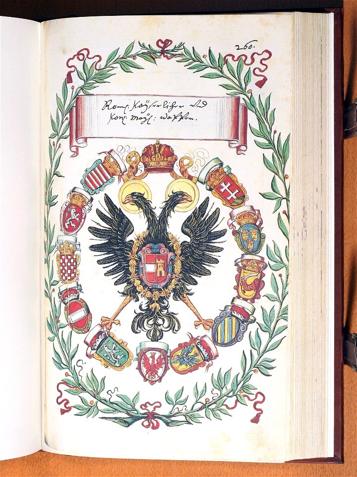 Opus insignium armorumque 260